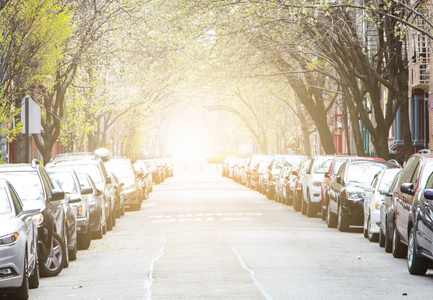 停放的汽车，沿着阳光明媚绿树成荫的街道，在纽约城