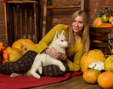 愉快的美丽的妇女与沙哑的小狗以秋天收获在砖墙壁背景