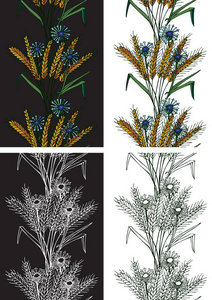 模式无缝的小穗和花