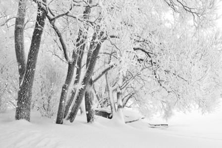 下雪，降雪，降雪量