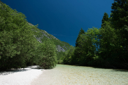 水晶般清澈的山间河流穿过树林