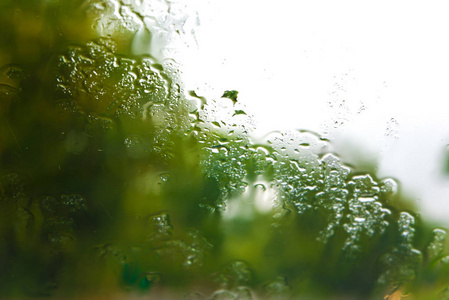 水滴在挡风玻璃上，绿色背景上的雨滴