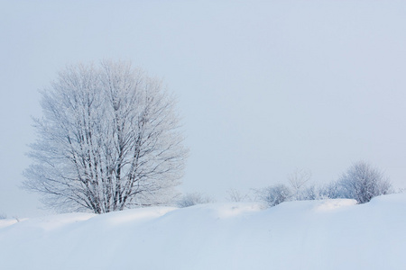 雪域风景