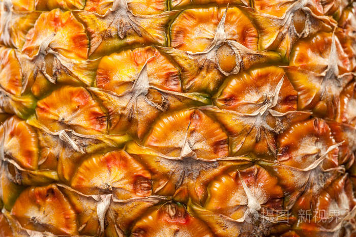 菠萝皮背景的特写