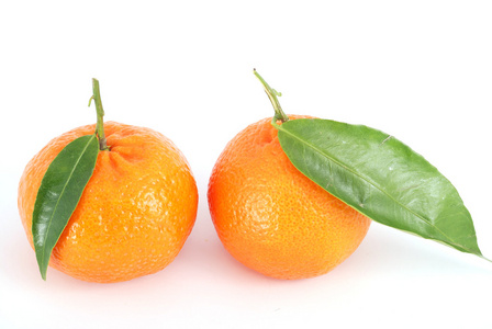 柑橘，橘红色 橘黄色 蜜柑 蜜橘