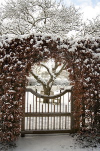 花园大门和被雪覆盖的草坪