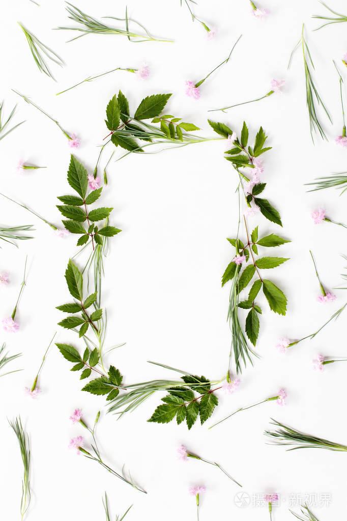 花组成框架由粉红色康乃馨花