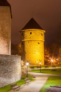 照明的塔和墙上的旧城和绿色公园在夏天的夜晚。爱沙尼亚塔林