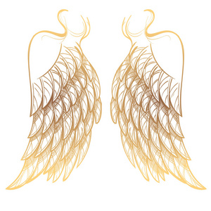 矢量图的金色的翅膀