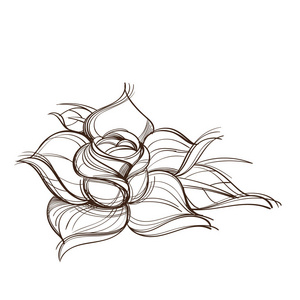 手工绘制的玫瑰设计元素