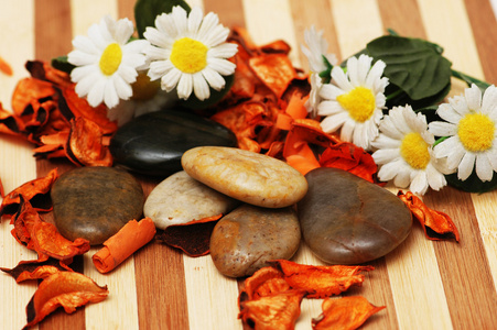 芳香疗法用的石头花瓣和花
