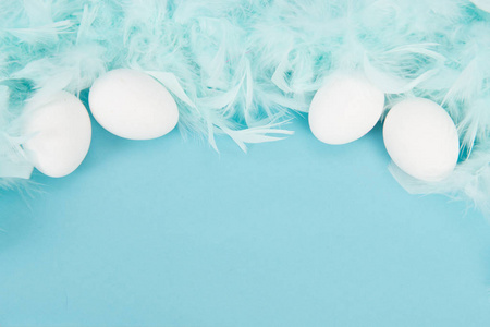 白色的蛋和蓝色的羽毛，在蓝色的背景 文本的空间