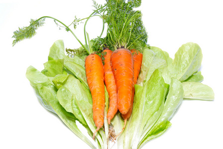 胡萝卜在绿色生菜上分离在白色上。