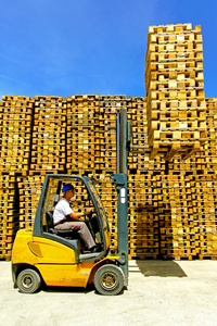 托盘 pallet的名词复数  平台 运货板 草垫子