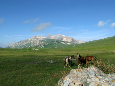 山，山岳 mountain的名词复数  山脉 群山