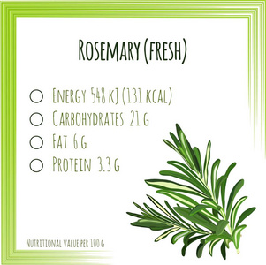 迷迭香。营养成分。平面设计，没有渐变。矢量图