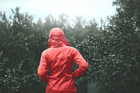 一名女游客步行之间的树木和灌木丛在潮湿多雨天气