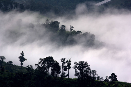 热带的雨林和山地景观