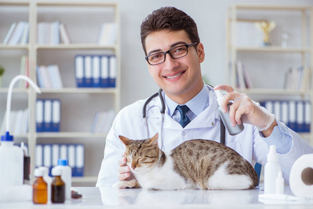 猫咪来访兽医做定期检查
