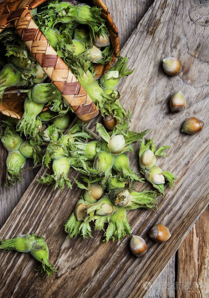 新鲜的榛子在绿色的壳