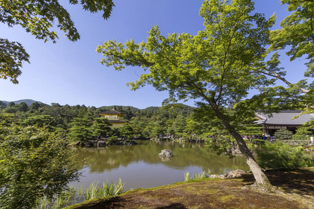 金阁寺 金阁。正式命名的 Rokuon吉 鹿园寺，在日本京都的一座禅宗寺庙