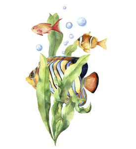 水族馆设计图片