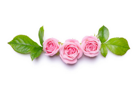 在白色背景上的粉红玫瑰。花边框。邀请卡模式