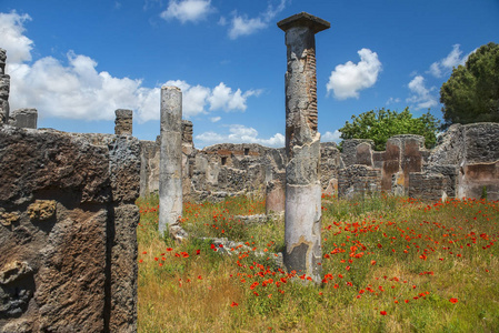 庞贝古城废墟，教科文组织世界文化遗产，坎帕尼亚意大利