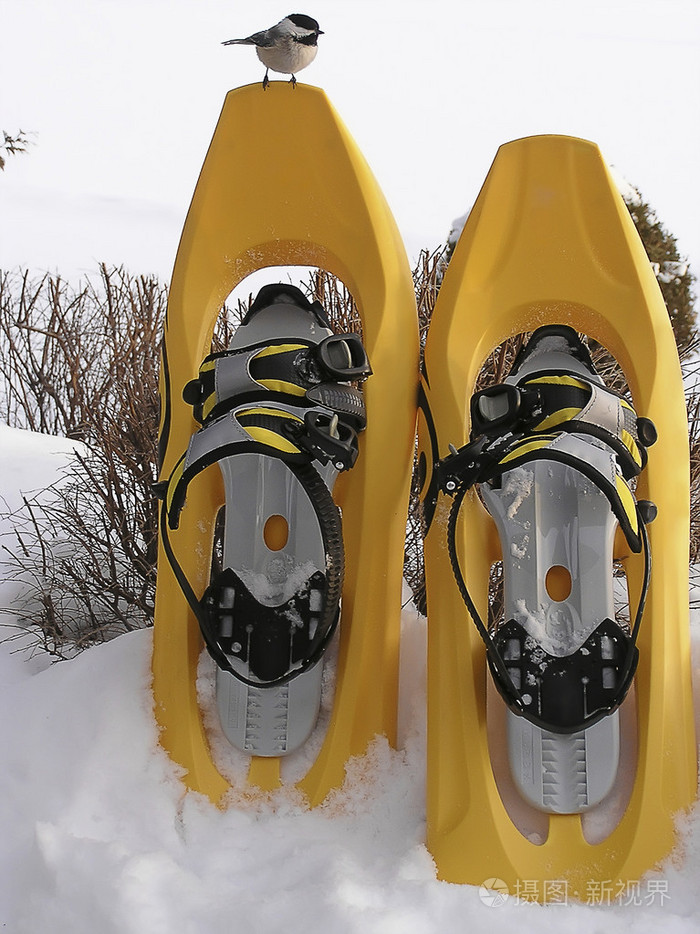 鸟雪鞋
