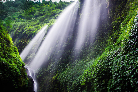 Madakaripura 瀑布深森林瀑布