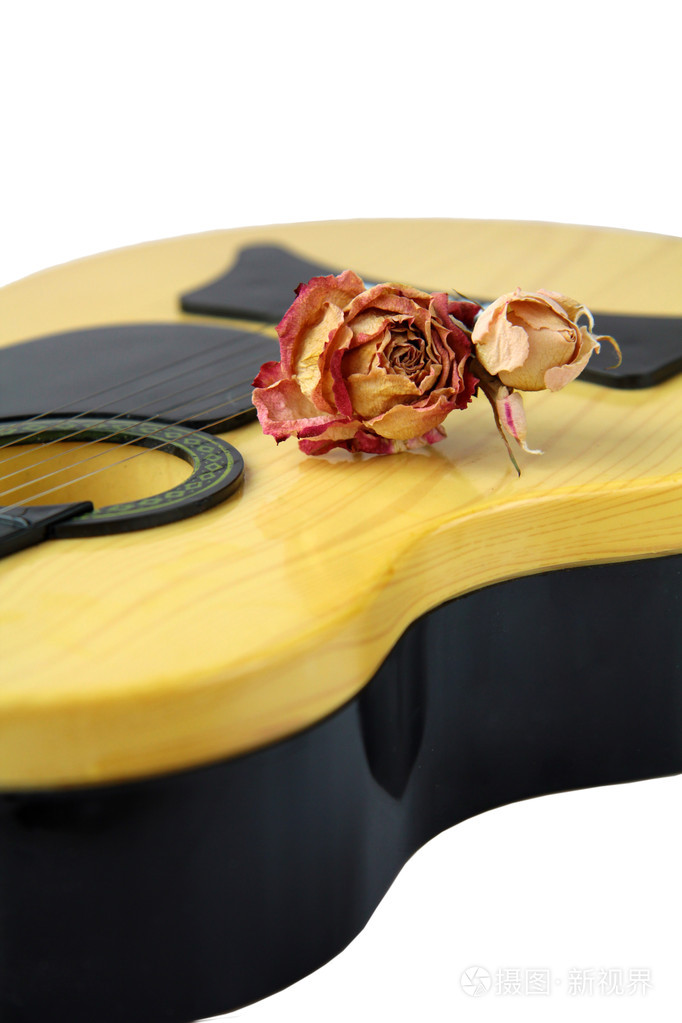 玫瑰花黄色吉他