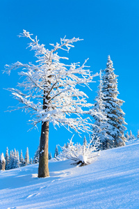 雪域风景