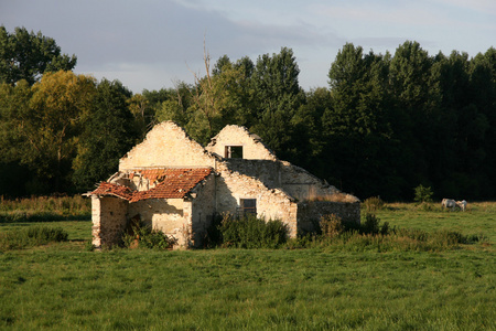 法国遗弃的家园