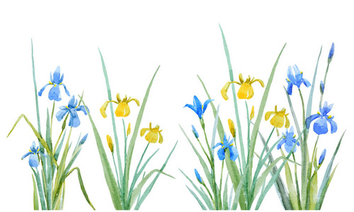 鸢尾花矢量图片-鸢尾花矢量素材-鸢尾花矢量插画-摄图新视界