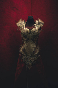 金属金色盔甲的妇女照片