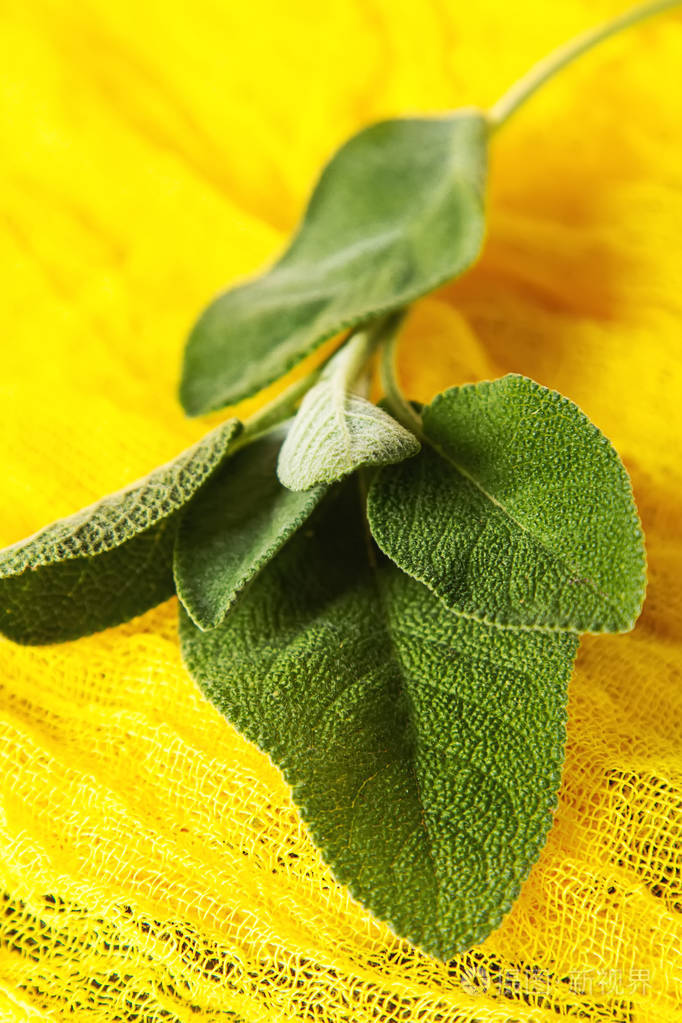 意大利香草.鼠尾草.美味的素食食品.黑暗的背景照片-正版商用图片01v9