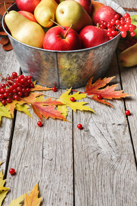 秋天的丰收和感恩卡背景图片