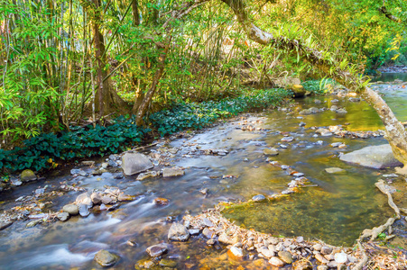 山区河流泰国在考索国家公园