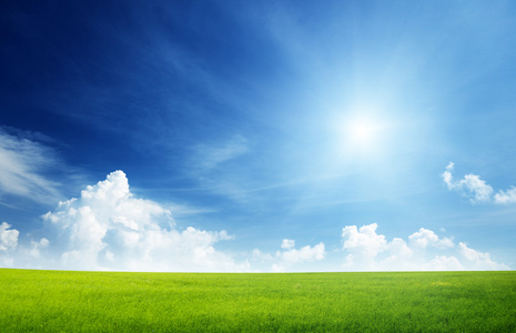 草地和完美的天空照片