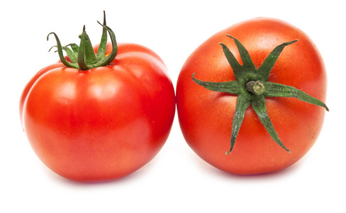 两个新鲜番茄在白色背景上分离。