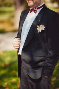 新郎在婚礼服装与蝴蝶的人。手，关心，若要更正，要调整，时尚。Instagram 颜色色调