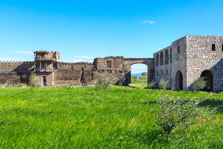 Alaverdi Kakhetia 在美国乔治亚州东部地区的东正教修道院