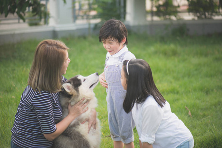 快乐亚洲家庭玩西伯利亚哈士奇狗在花园里