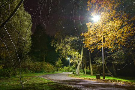 在公园路夜景