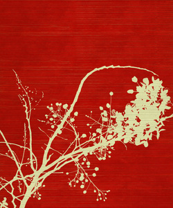 红色背景的花枝印