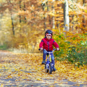 两个小家伙在秋天的树林自行车的男孩