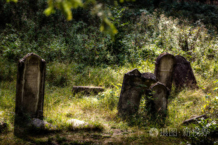 旧废弃的犹太墓地模糊效果图