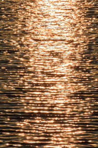 傍晚的阳光照射在湖面上图片