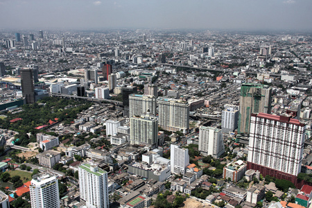 扇形棕榈细纤维 Bangkok 曼谷泰国首都