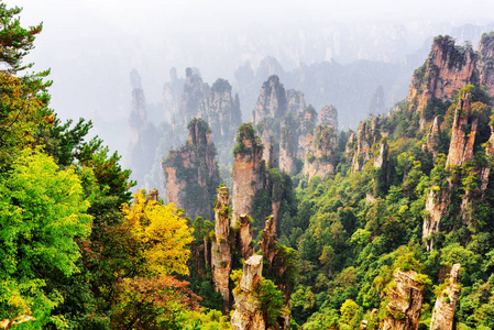 顶视图的天然石英砂岩峰林之间秋天的树林